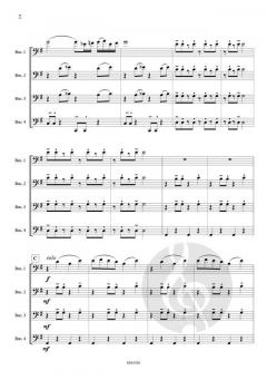 Bassoon Fantasy von Pol Nuyts 