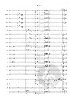 Centuria von James Swearingen 