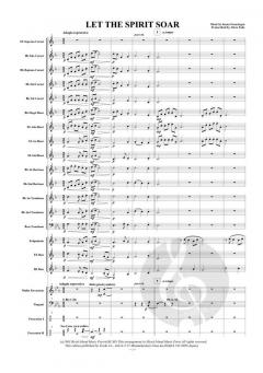 Let the Spirit Soar von James Swearingen 