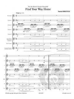 Find your way home von Patrick Hiketick 