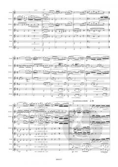 Fantasia Elegiaco von Hans Aerts 