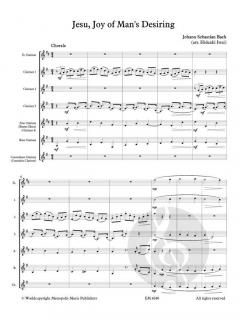 Jesu, Joy of Man's Desiring von Johann Sebastian Bach 