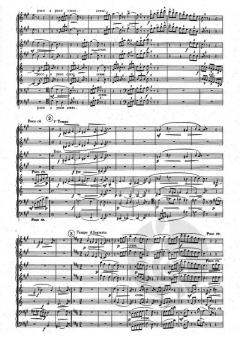 Avondmuziek - Musique du Soir von Flor Alpaerts 