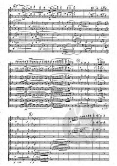 Avondmuziek - Musique du Soir von Flor Alpaerts 