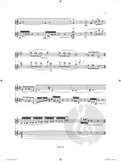 Suite Gipsy Music von Jan van Landeghem 