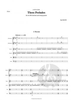 3 Preludes von Bart Watté 