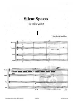 Silent Spaces von Charles Camilleri 