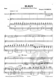 Elegy von François Glorieux 