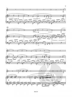 Romance von Christa Steenhuyse-Vandevelde 