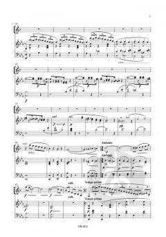 Concertino nr. 1 von Karel Lodewijk Hanssens 