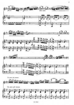 Il primo amore von Franz von Suppe 