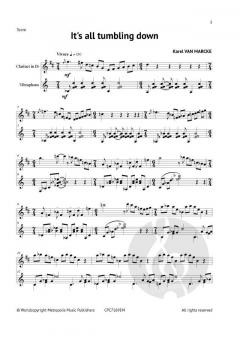 It's all tumbling down von Karel van Marcke 