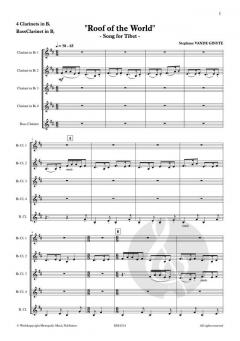 Roof of the World von Stephane Vande Ginste 