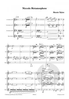 Niccolo Metamorphose von Masato Tajino 