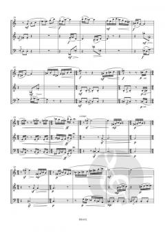 Divertimento von Alain Craens 