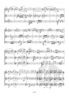 Divertimento von Alain Craens 