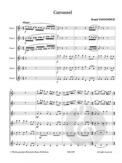 Caroussel von Ronald Vandoninck 