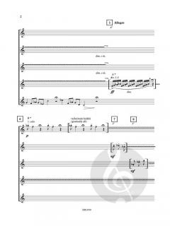 Flock of Birds von Jukka Pekka Lehto 