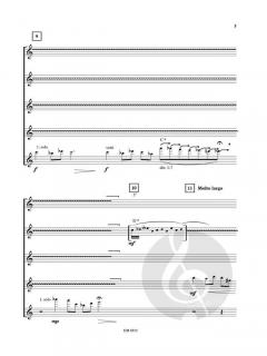 Flock of Birds von Jukka Pekka Lehto 