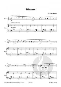 Tristesse von Paul Chatrou 