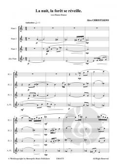La nuit, le forêt se réveille von Alex Christiaens 