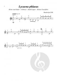 The Butterfly Garden von Boudewijn Cox 