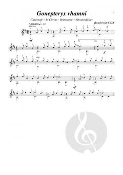 The Butterfly Garden von Boudewijn Cox 