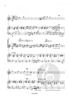 Ducky's Day von Sigrid Schuerweghs 