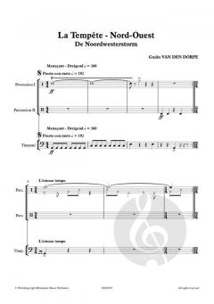 Noordwesterstorm von Guido van den Dorpe 