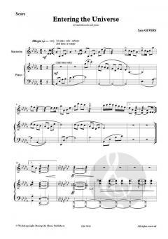 Entering the Universe von Sam Gevers 