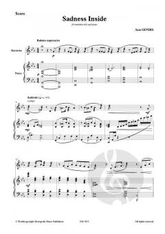 Sadness Inside von Sam Gevers 