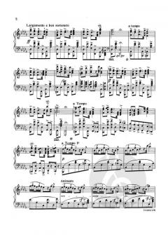 Derde Fantasia - Fantasia nr. 3 von Peter Benoit 