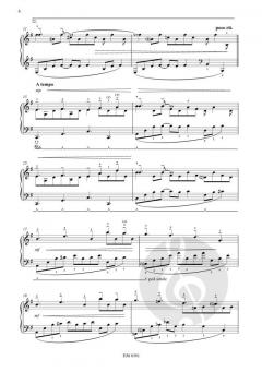 White Shadows (simplified) von Hans Lamal 