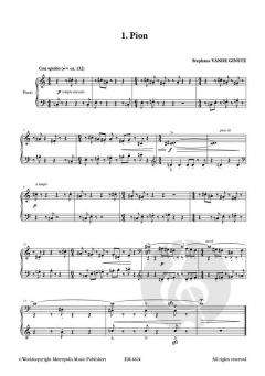 Schaakmat von Stephane Vande Ginste 