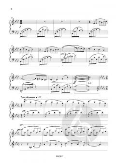 Memini von Nico Schoeters 