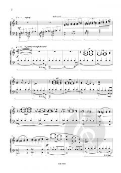 To the Stars! von Nico Schoeters 