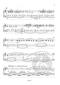 To the Stars! von Nico Schoeters 