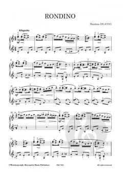 Rondino von Marinus de Jong 