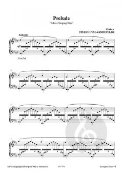 Classical Touch (album) von Christa Steenhuyse-Vandevelde 