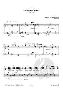 Complete 366' BOOK VIII 5 Echoes from Ludwig von Stephane Vande Ginste 