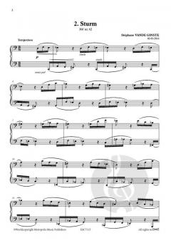 Complete 366' BOOK VIII 5 Echoes from Ludwig von Stephane Vande Ginste 