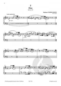 Complete 366' BOOK IX The 4 Elements von Stephane Vande Ginste 