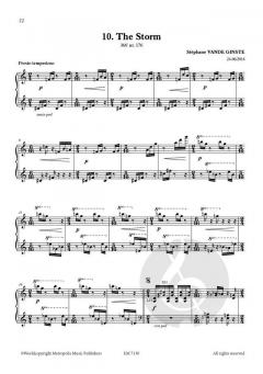 Complete 366' BOOK X Songs of Nature von Stephane Vande Ginste 