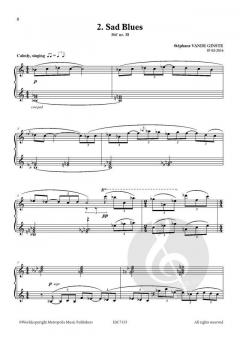 Complete 366' BOOK XI 15 Blues and Jazz Pieces von Stephane Vande Ginste 