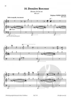 Complete 366' BOOK XIII 10 Night Songs von Stephane Vande Ginste 