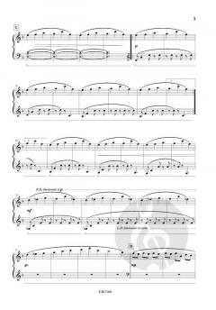 A Waltz von Nico Schoeters 