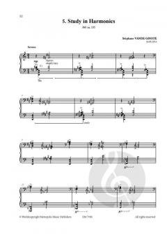 Complete 366' Book XVIII Nine Soundscapes von Stephane van de Ginste 