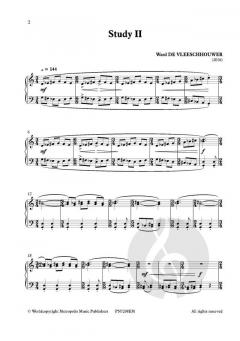 Powernotes II - 7 Studies von Ward de Vleeschhouwer 