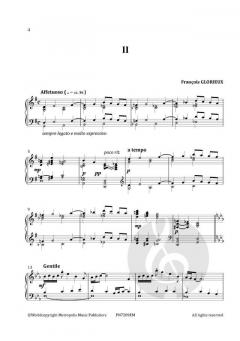 Nicolas Larosse 2 Musical Portraits von François Glorieux 