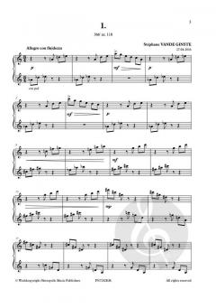 Complete 366' Book XXVII 6 Etudes von Stephane Vande Ginste 